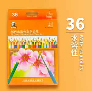 36色水溶性彩色铅笔 36 Colors Watercolour Pencils