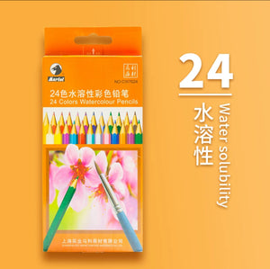 24色水溶性彩色铅笔 24 Colors Watercolour Pencils